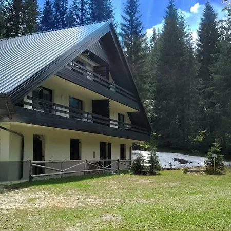 Pokljuka Triglav National Park *